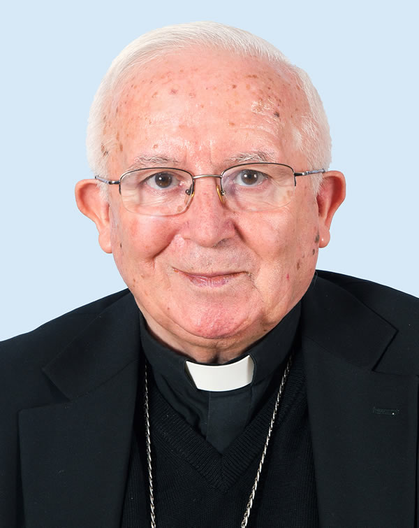 Antonio Canizares Llovera