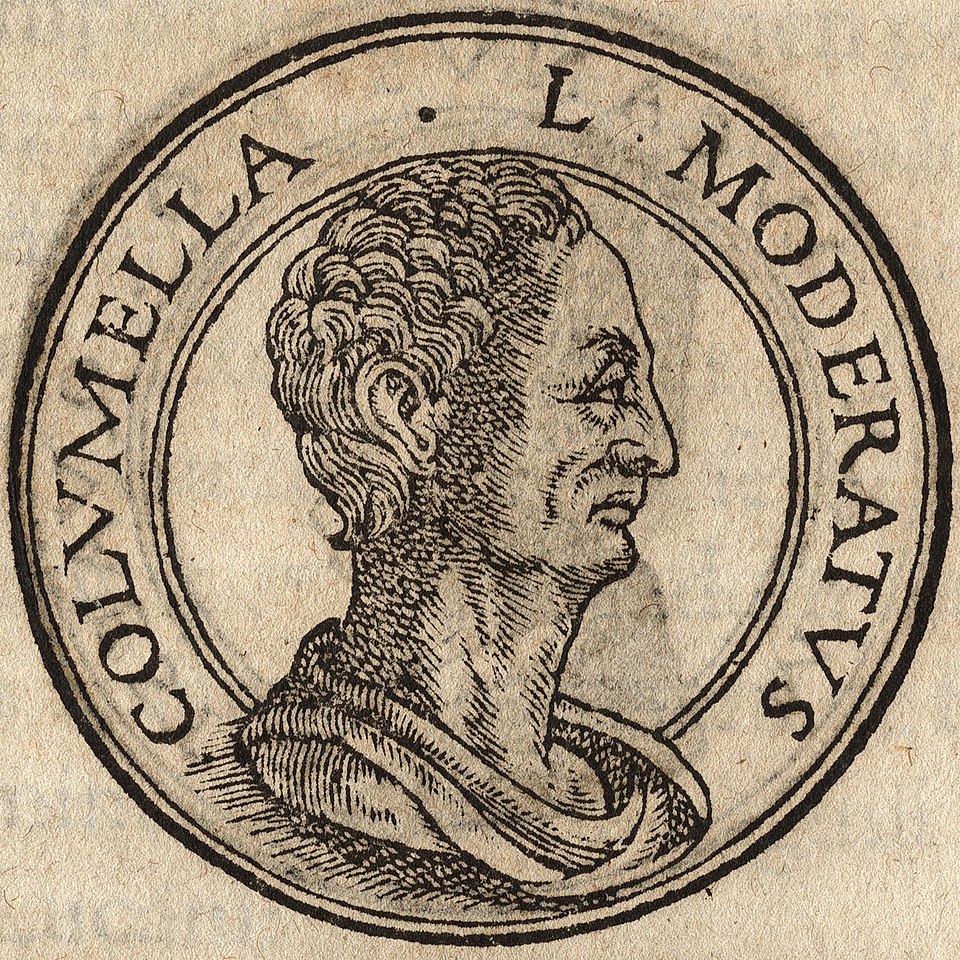 Antonio De Virgiliis