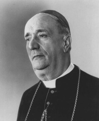 Antonio Ottaviani