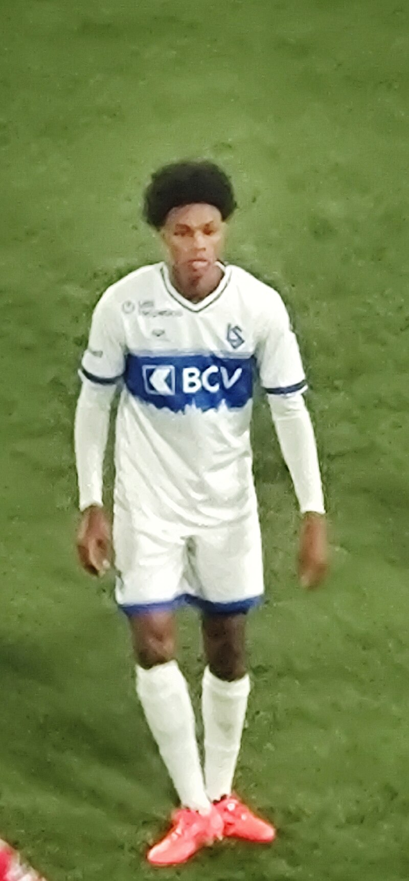 Antônio Sanches