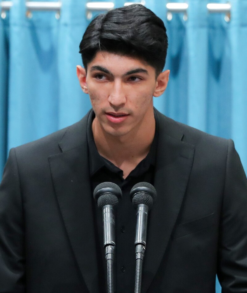 Arian Salimi
