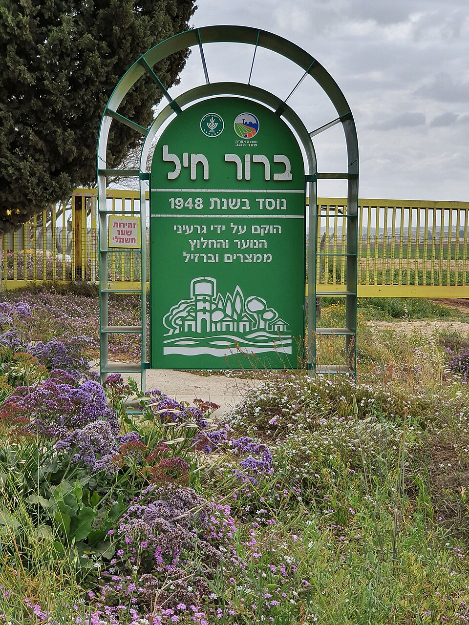 Ariel Shamai