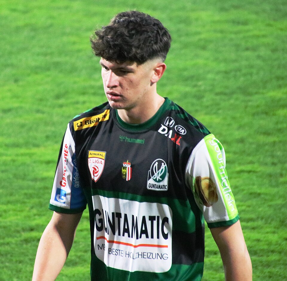 Arjan Malić