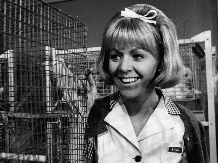 Arlene Nash Ferguson