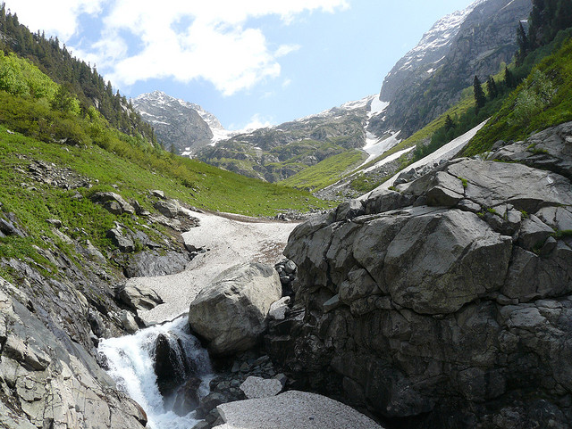 Ashraf Pala