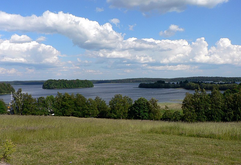 Asta Buitkutė