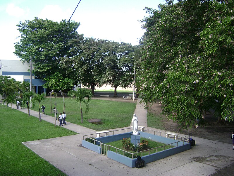 Auxiliadora Fernandez