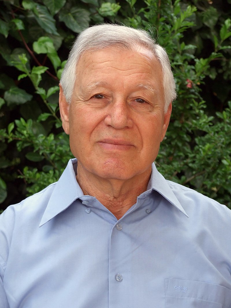 Avital Zur