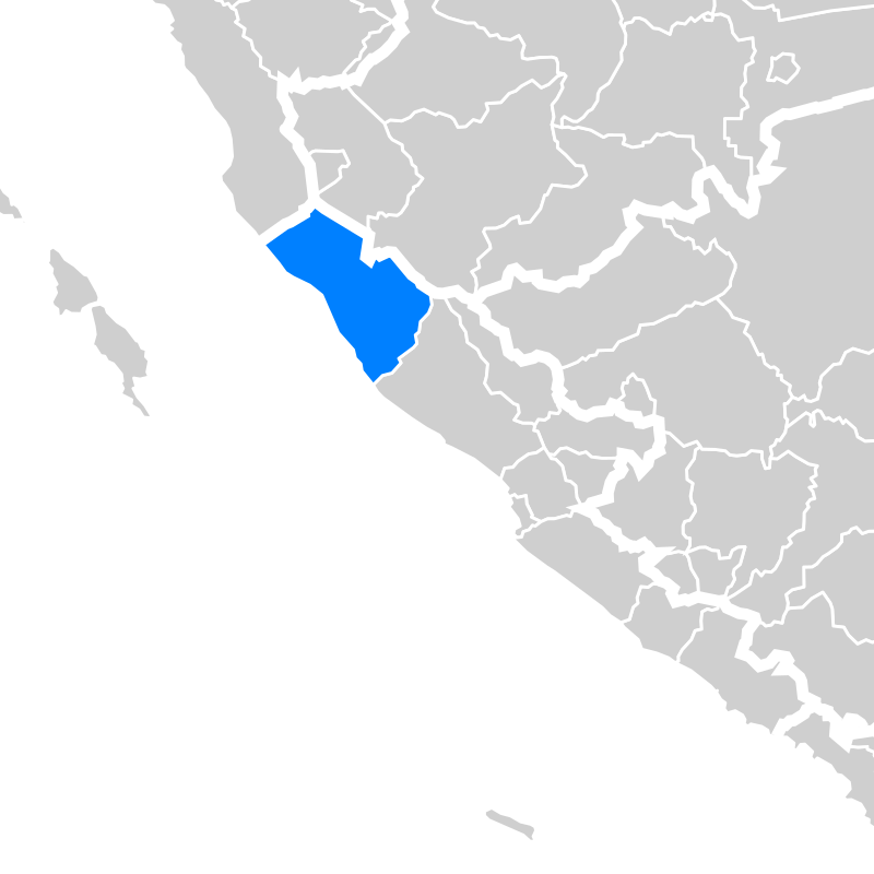 Bagis Manan