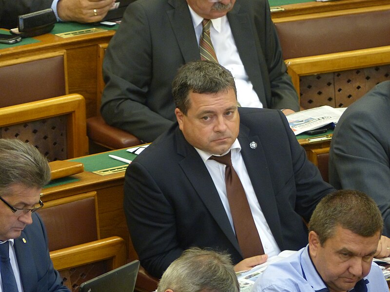 Bányai Gábor