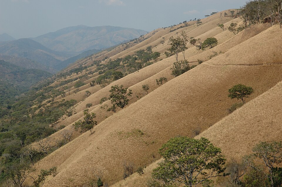 Baraka Magembe
