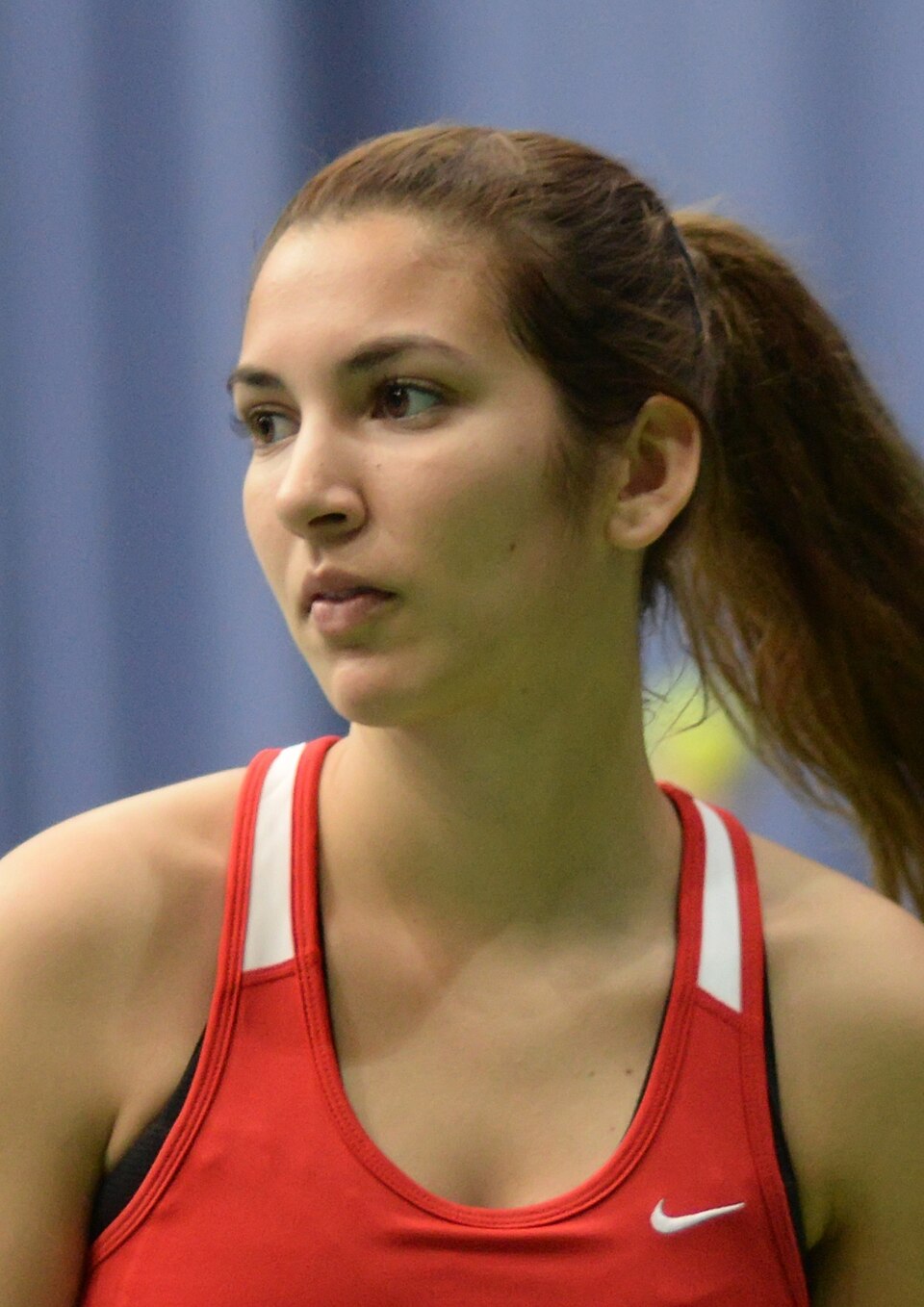 Barbara Venditti