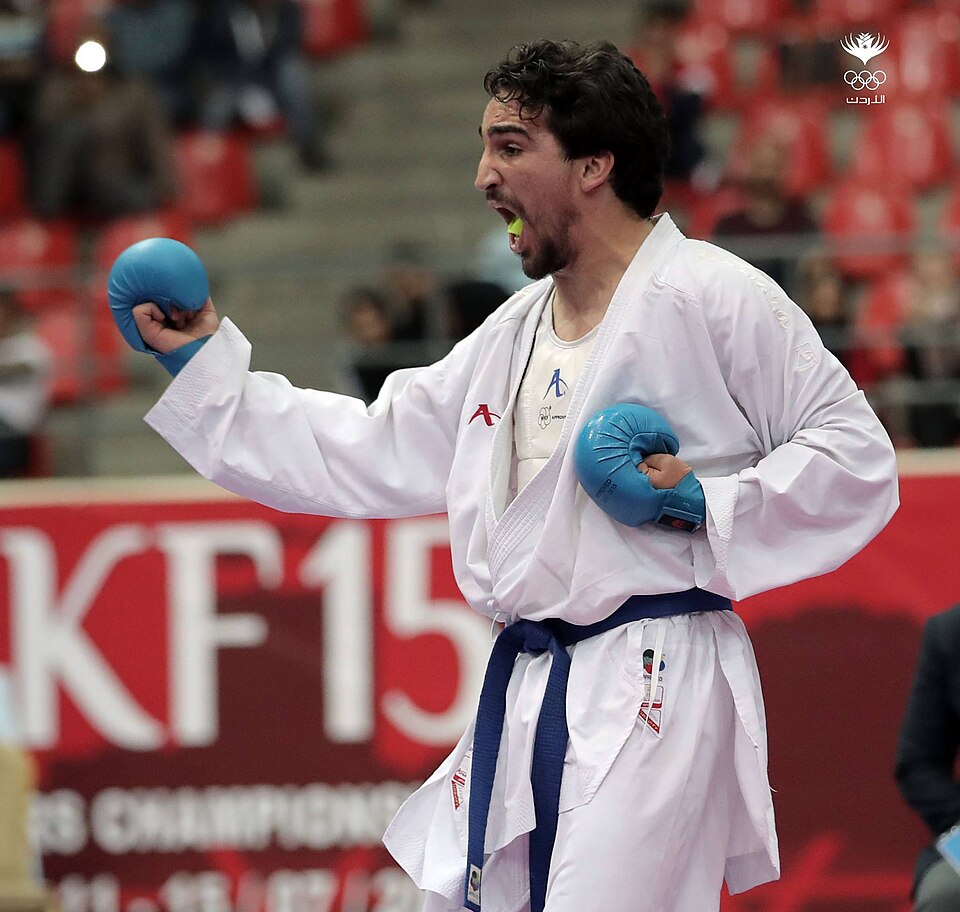 Bashar Najjar