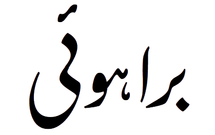 Bashir Brohi