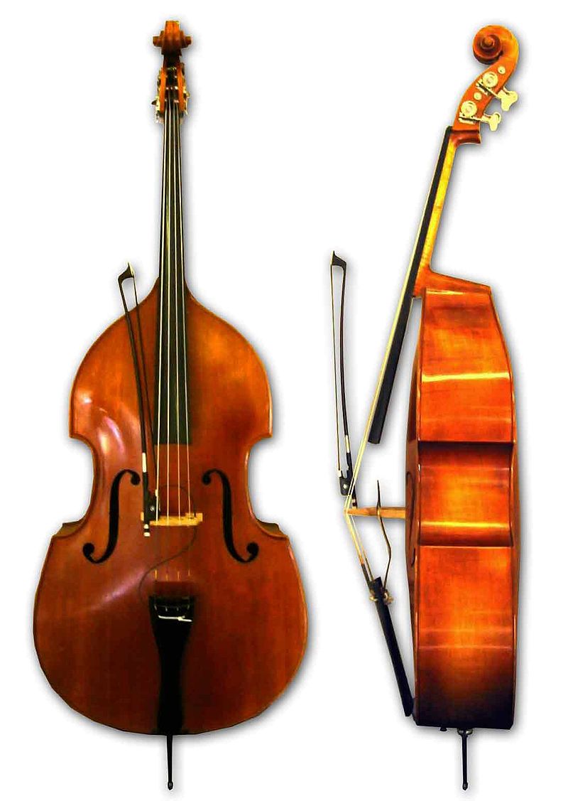 Bass Player