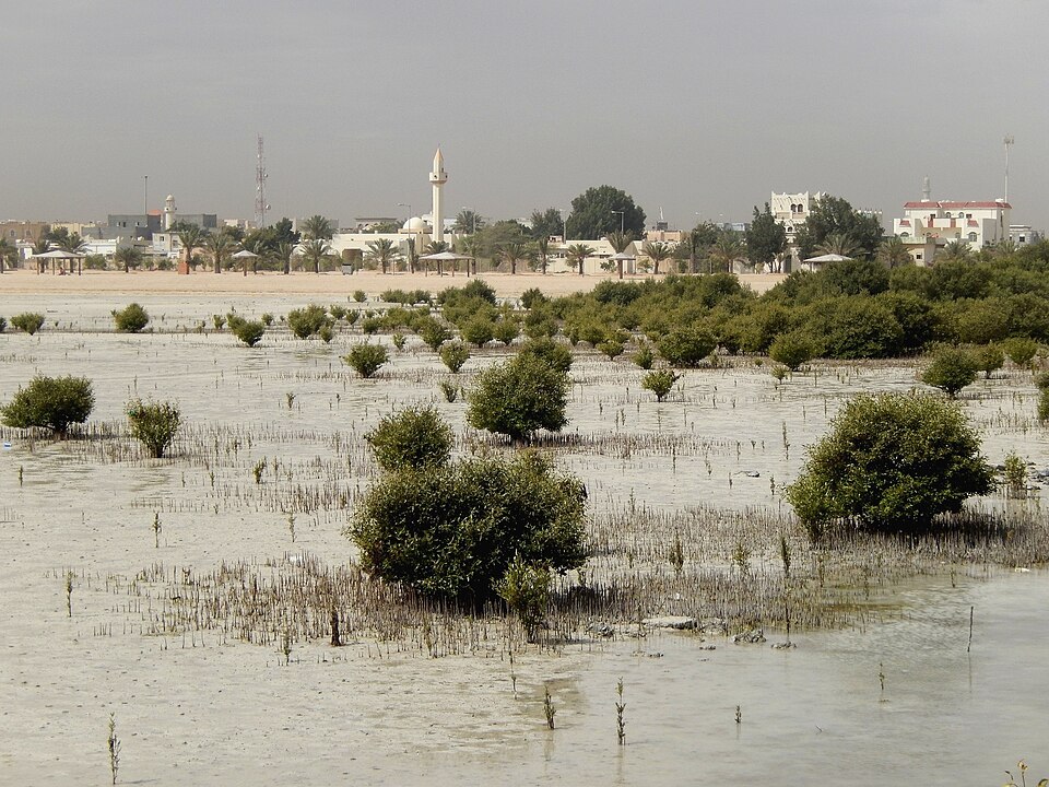Bassam Musallam