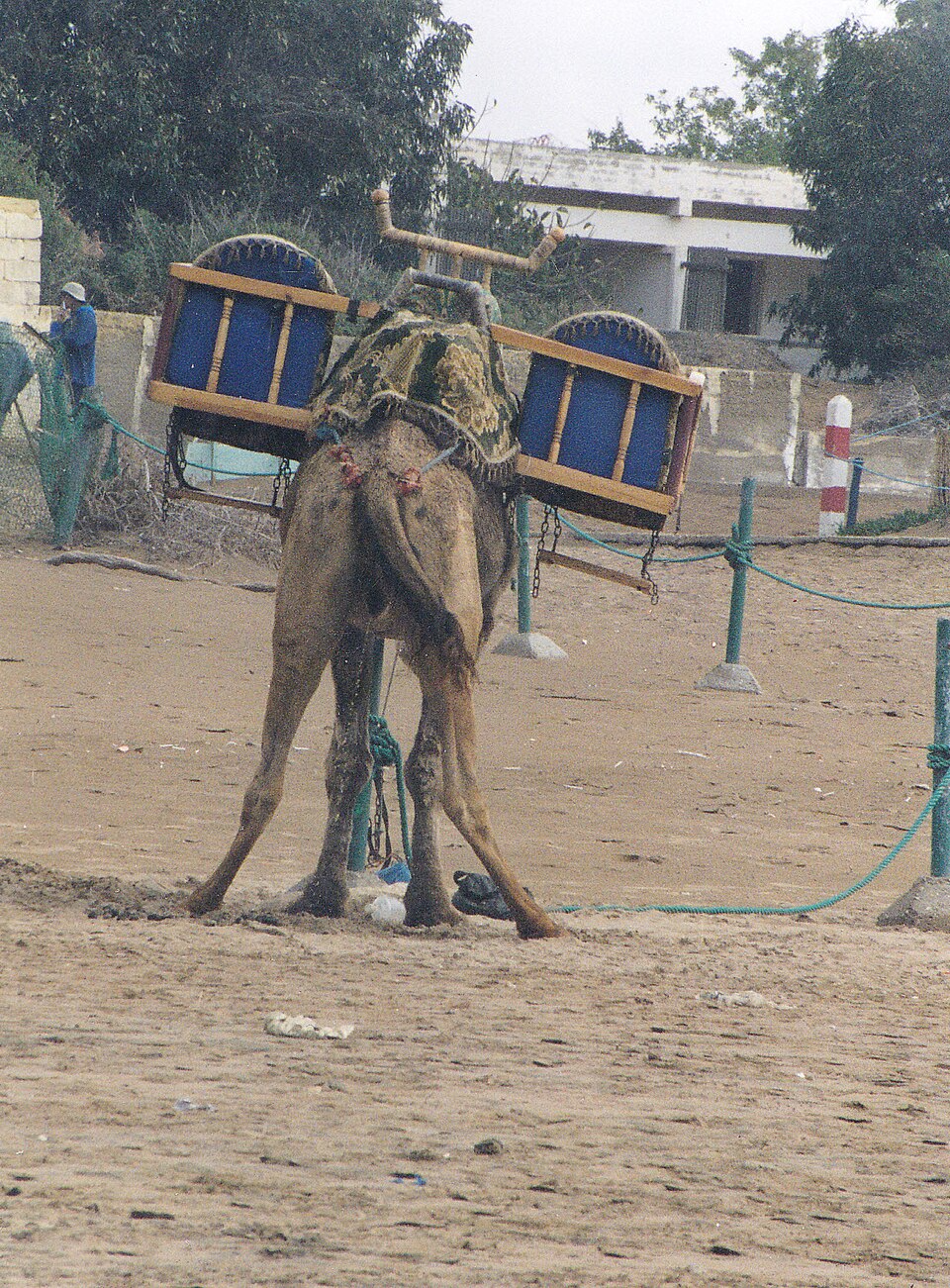Batal Al-Otaibi