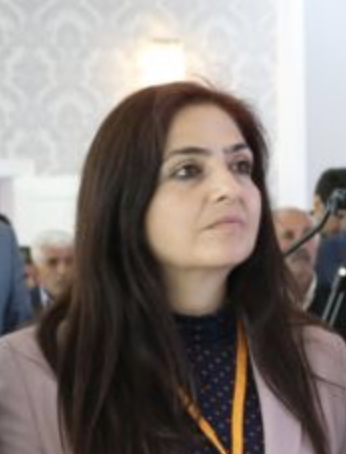 Bedia Ozgokce Ertan
