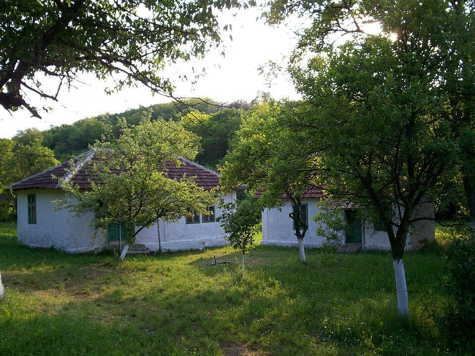 Belja