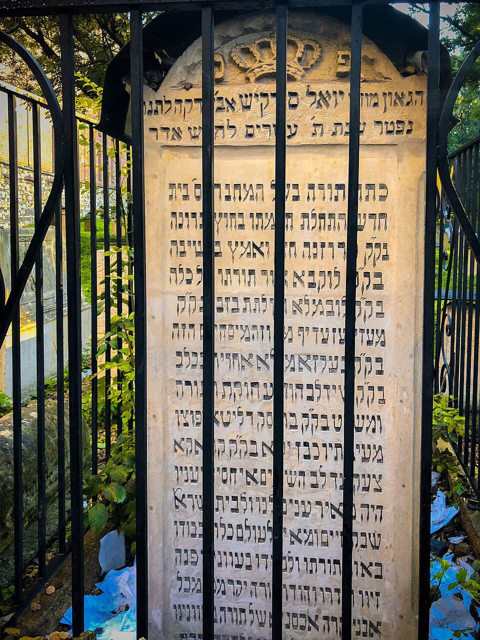 Bella Ben Gershon