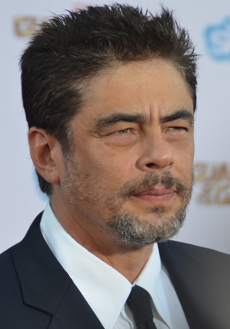 Benicio Robinson
