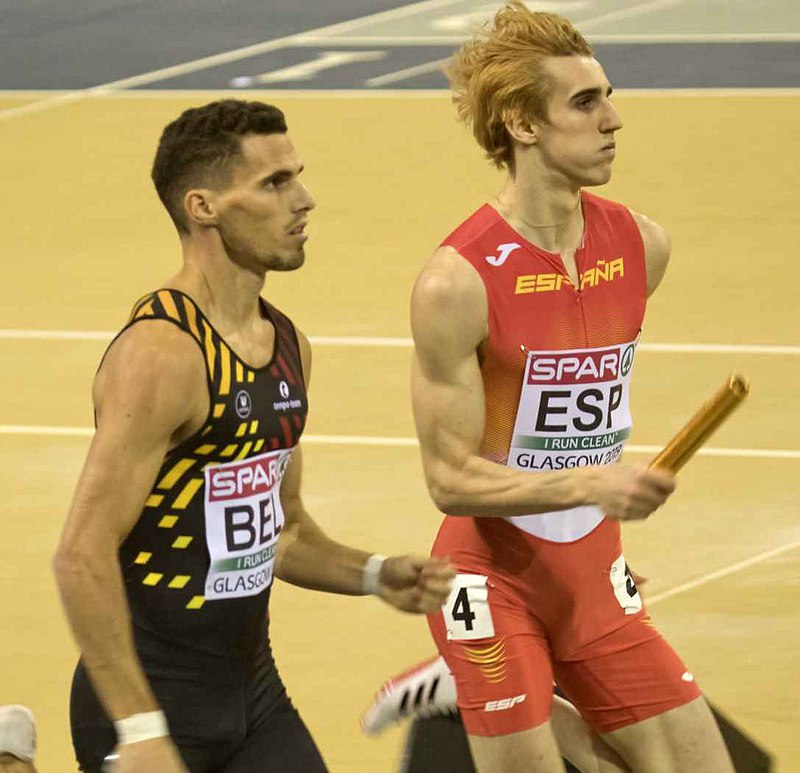 Bernat Erta