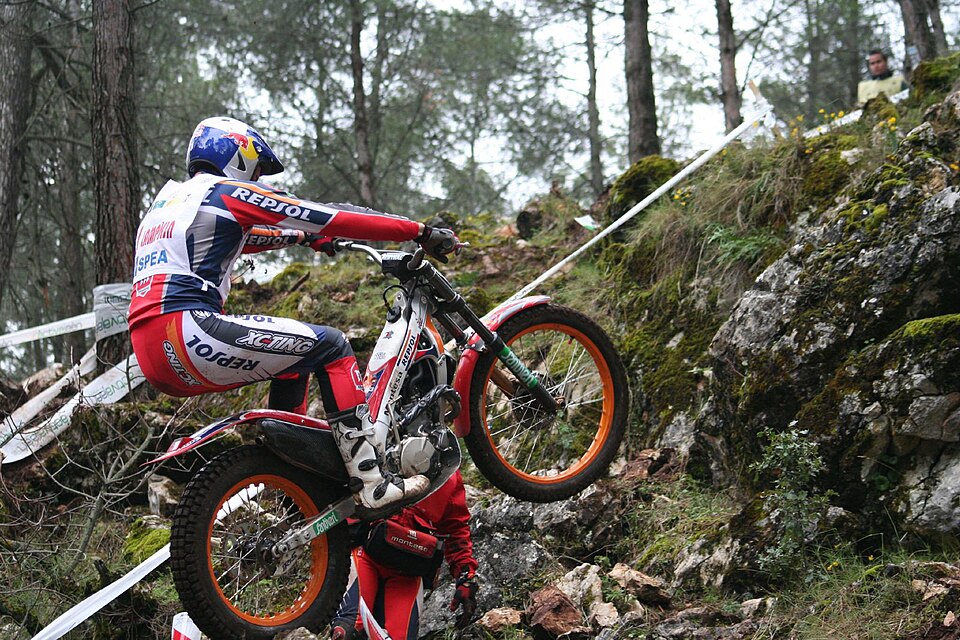 Berta Abellan