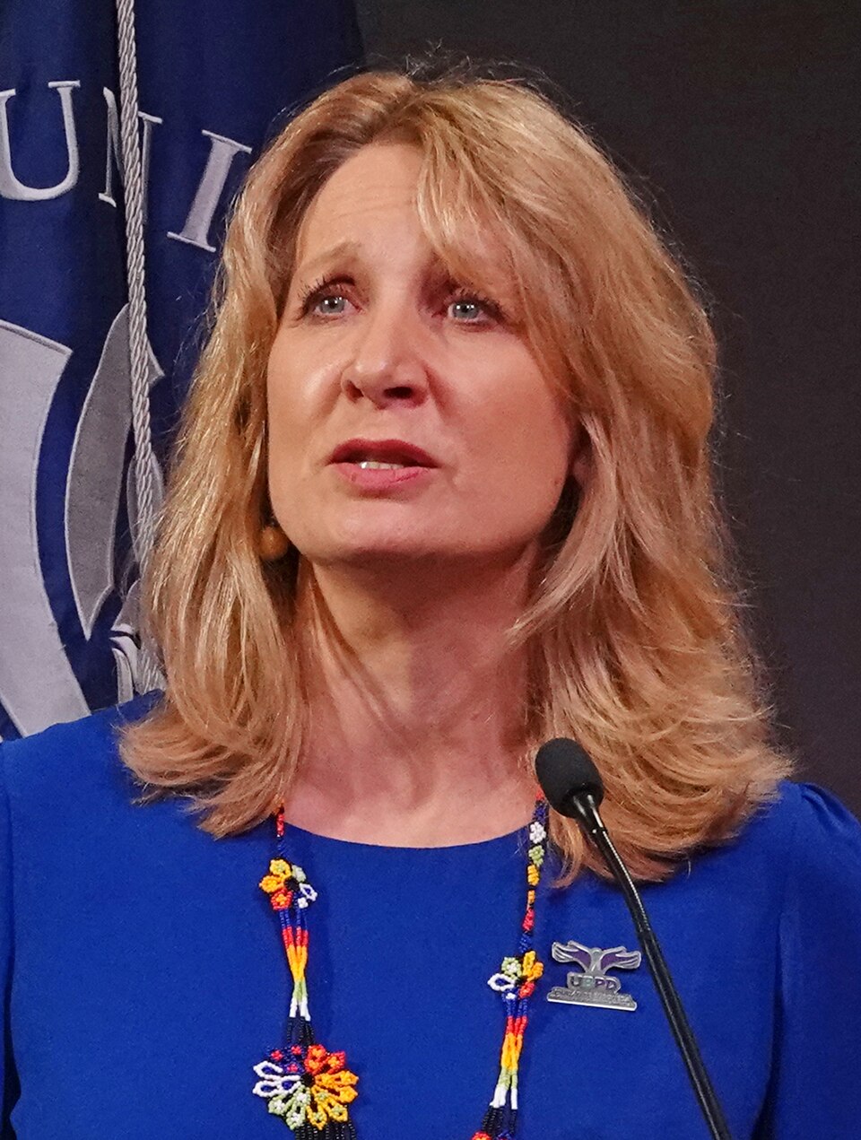 Beth Van Schaack