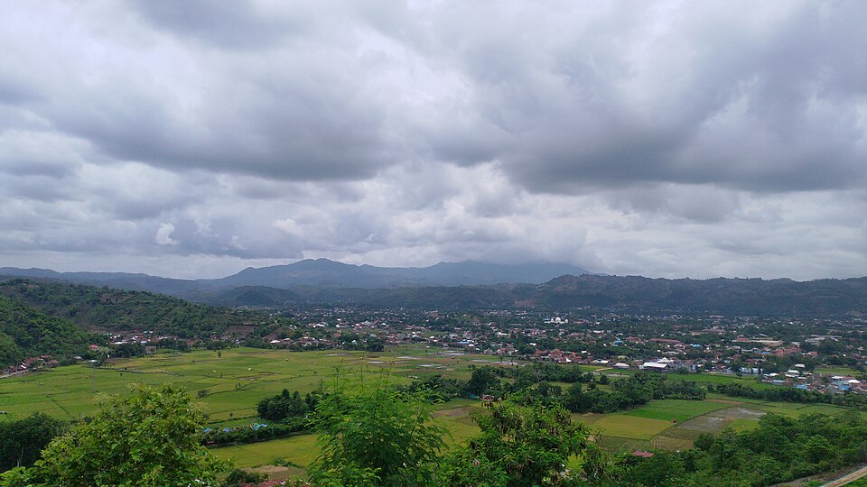 Bima