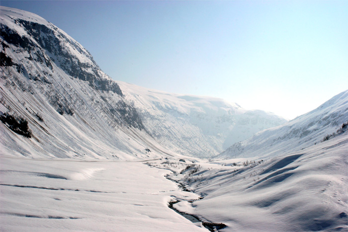 Bjørn Stalheim