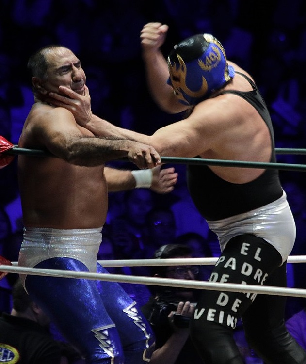 Blue Panther