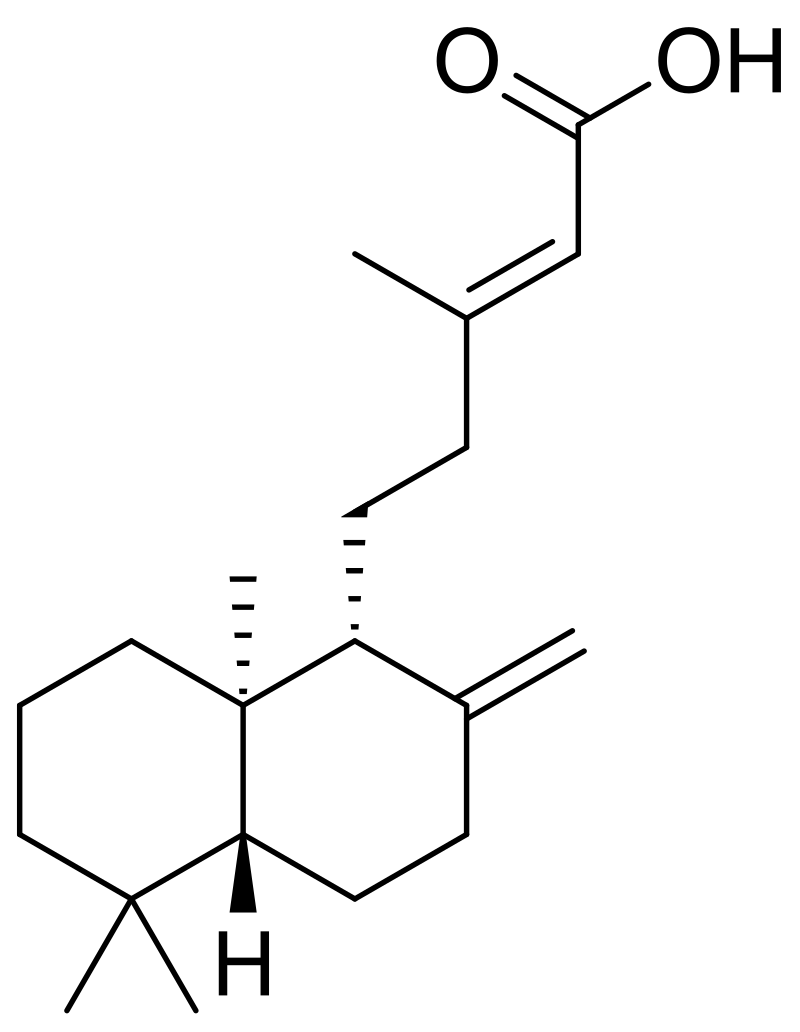 Bo Zhengyuan