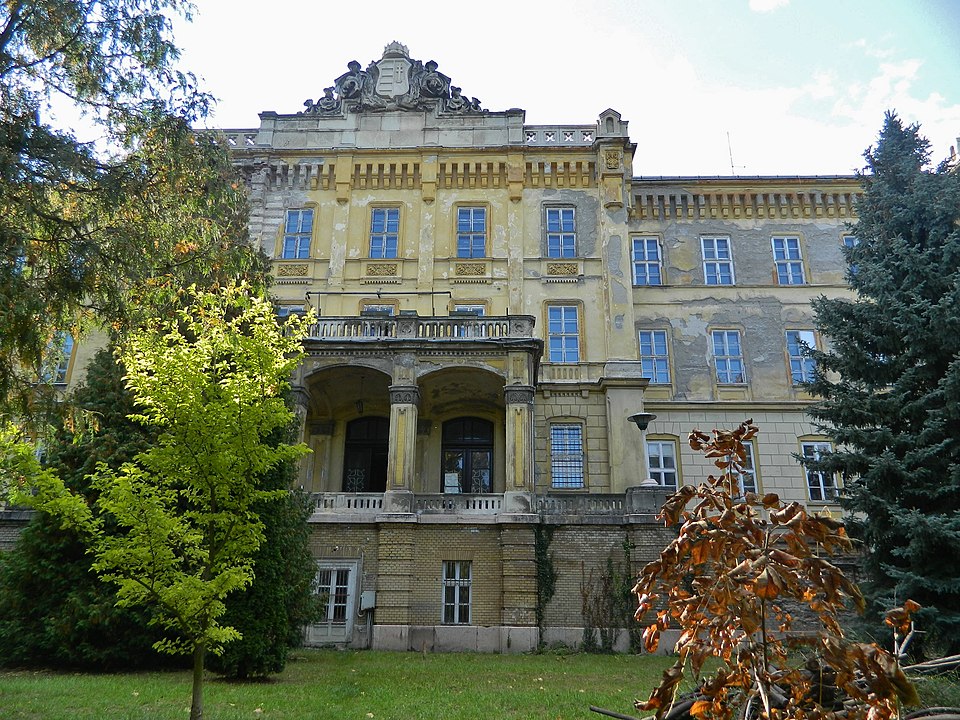 Bódis Péter