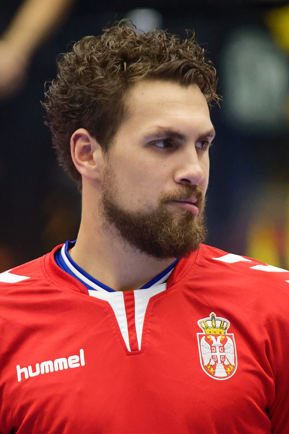 Bogdan Radivojevic