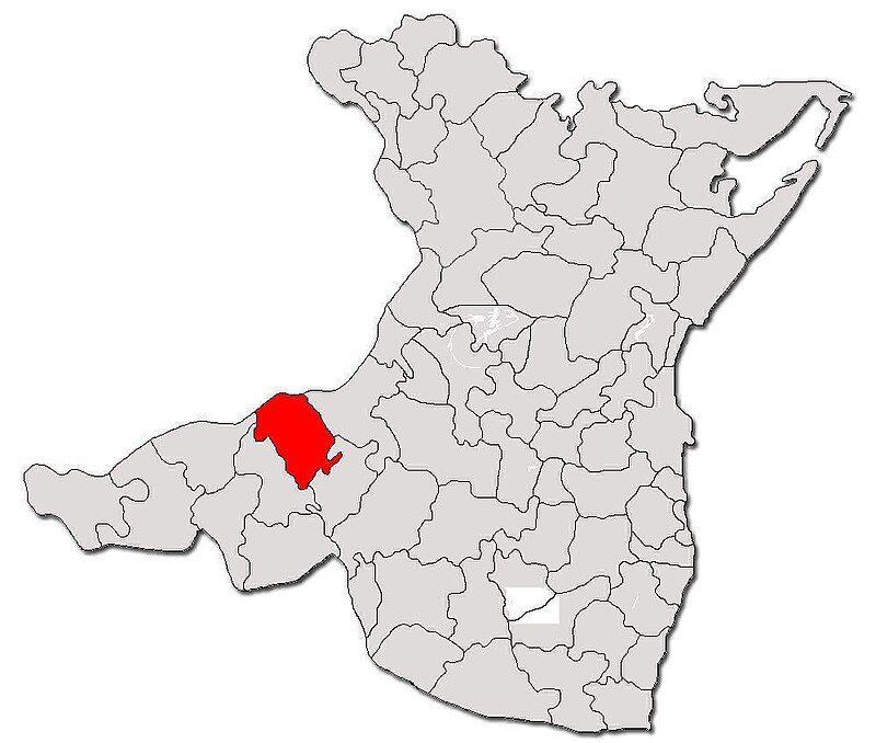 Bogdans Bačs