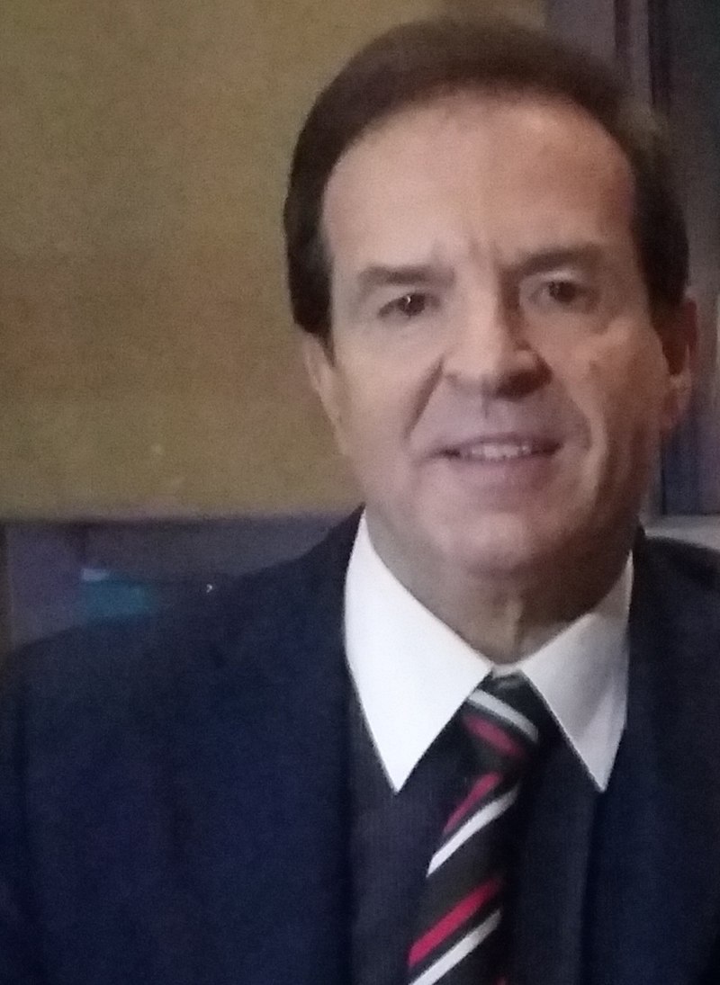 Bogoljub Karic