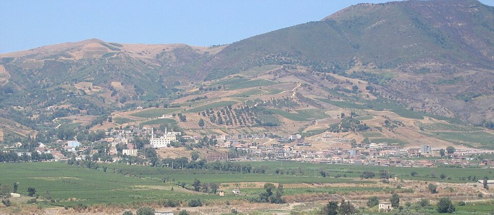 Bois Sidi