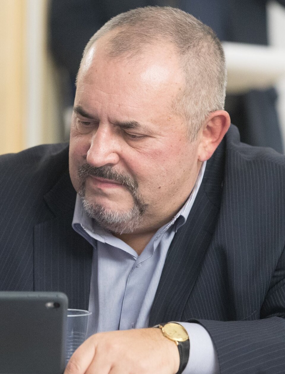 Boris Nadeždin