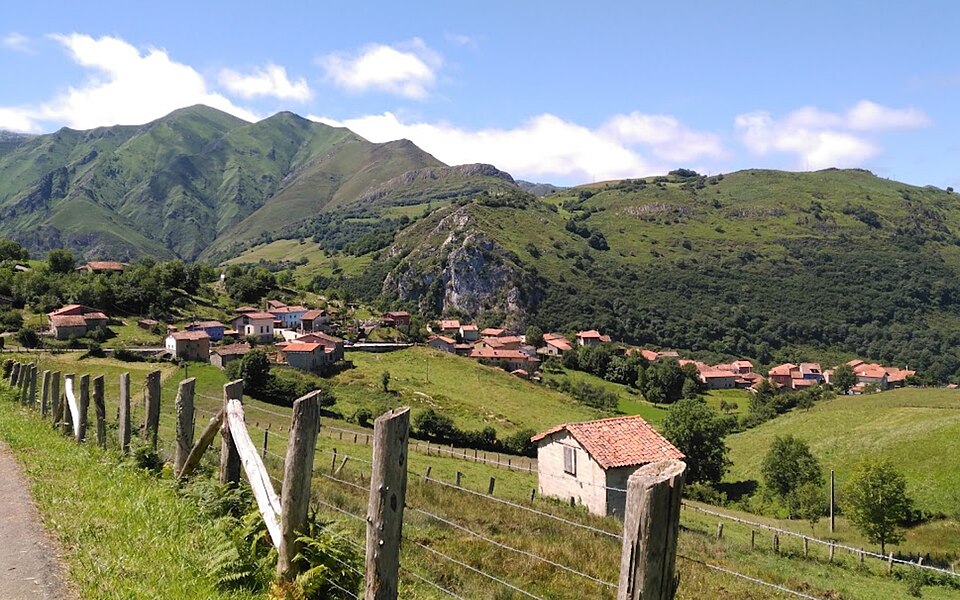 Bovia