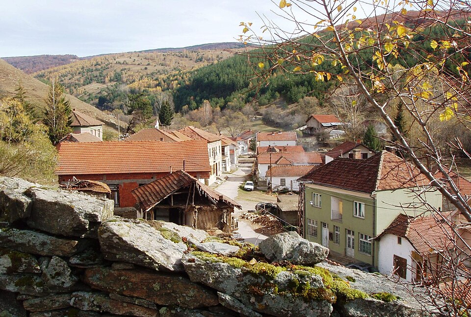 Božica
