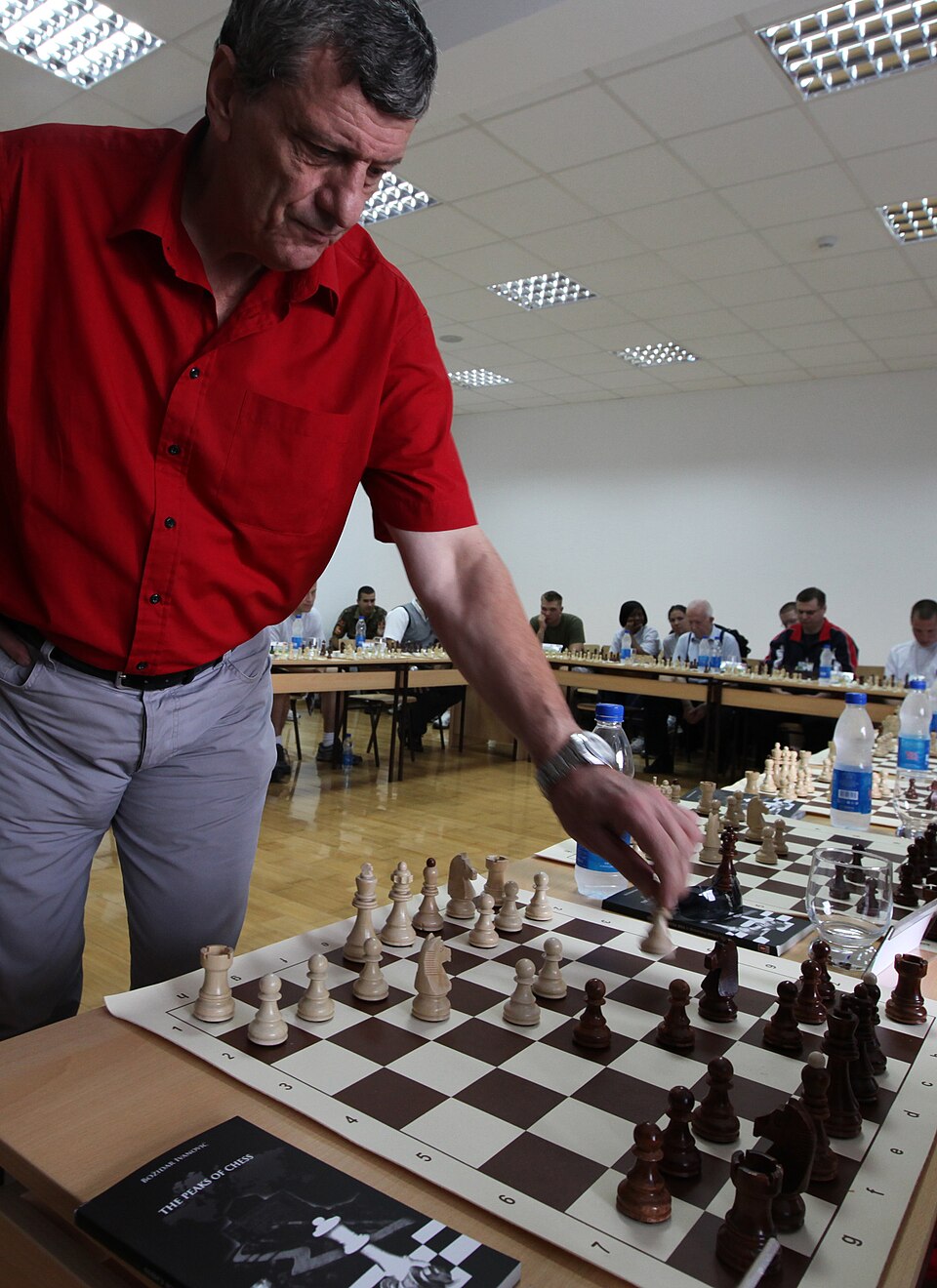 Božidar Ivanović