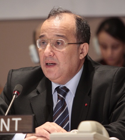 Brahim Fassi Fihri