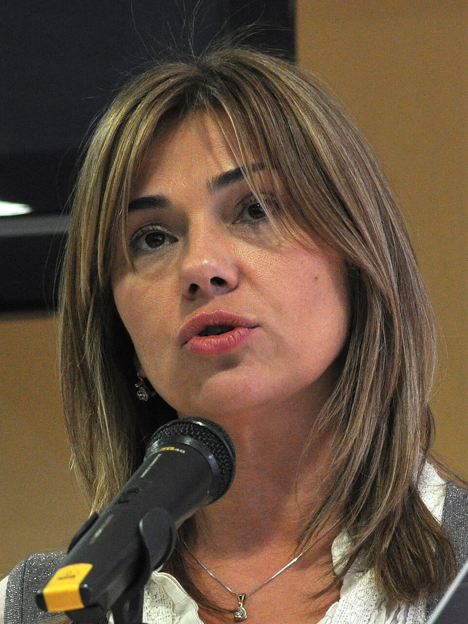 Branka Nevistic