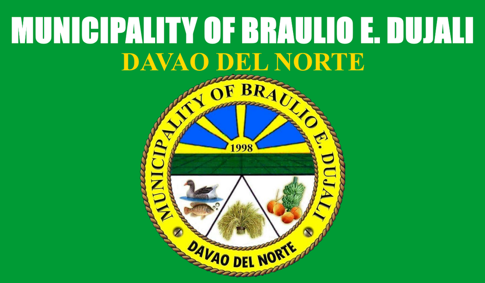 Braulio N