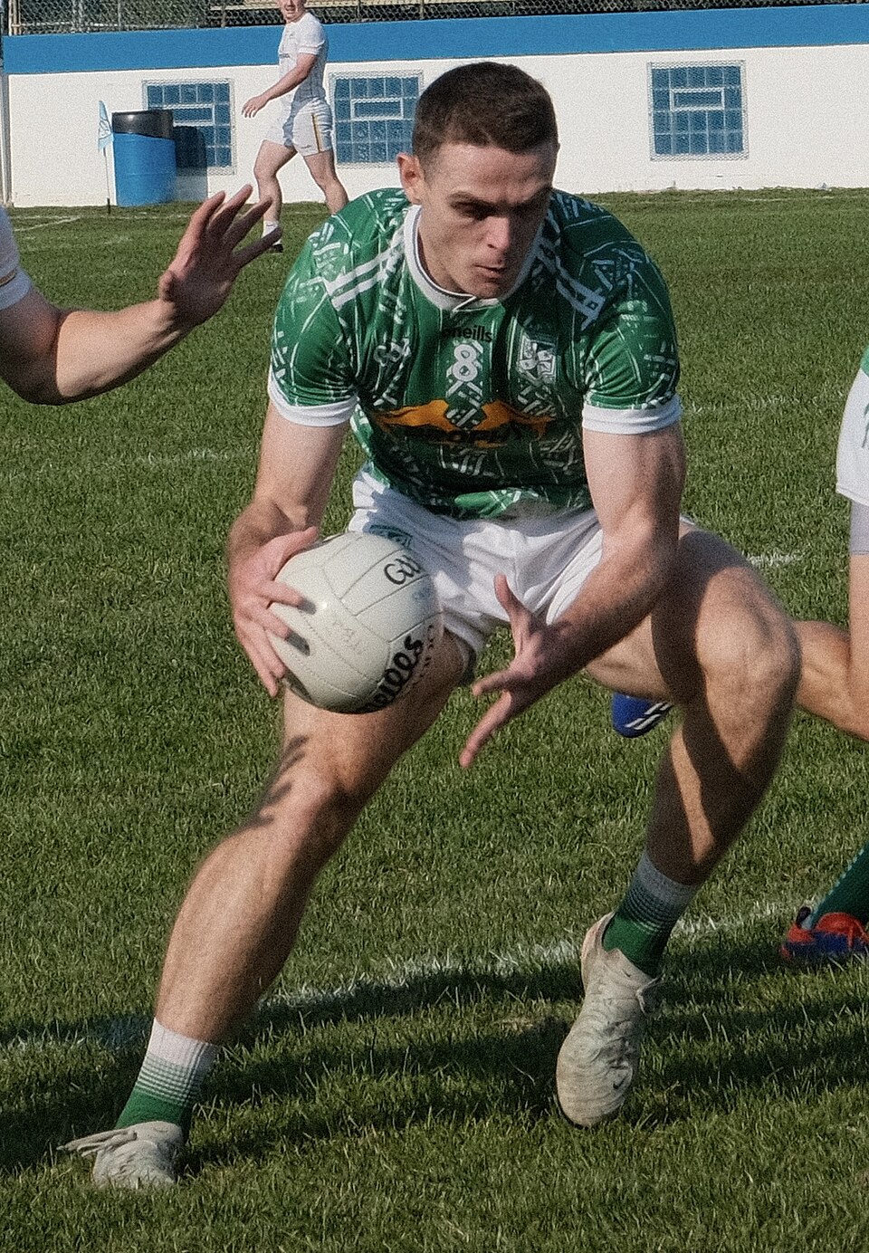 Brian Fenton