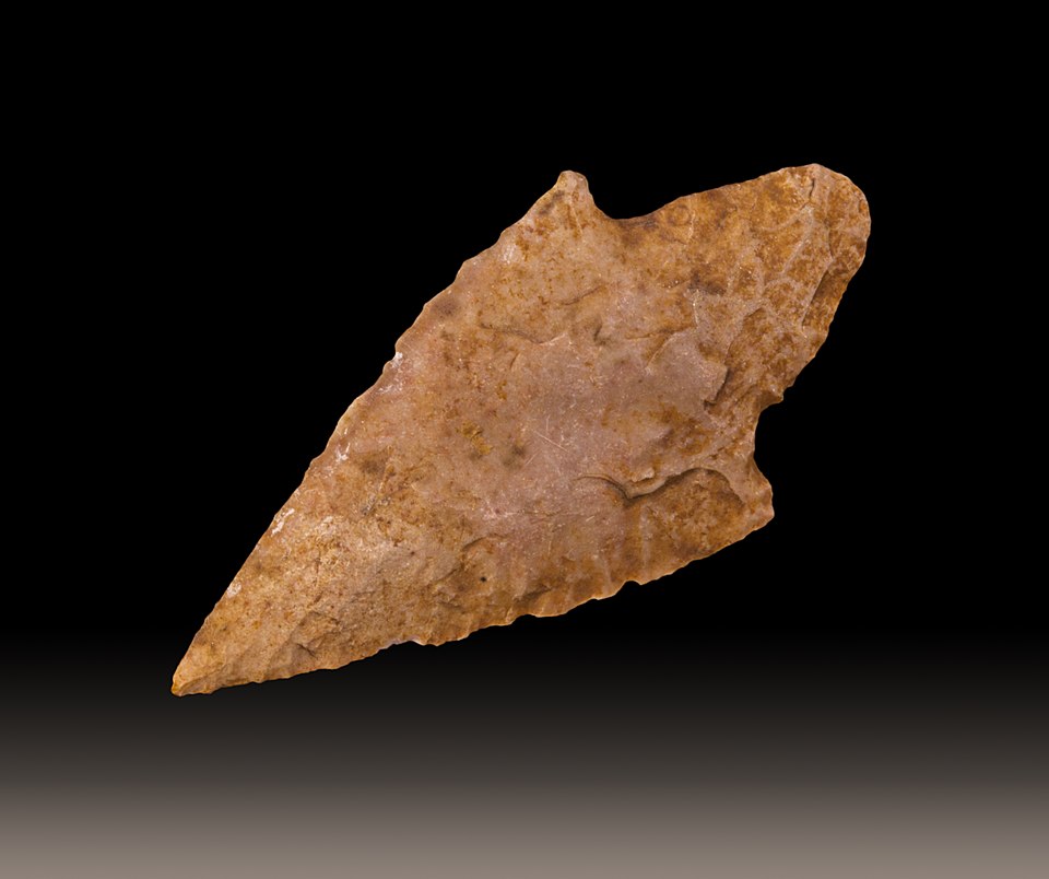 Broadhead