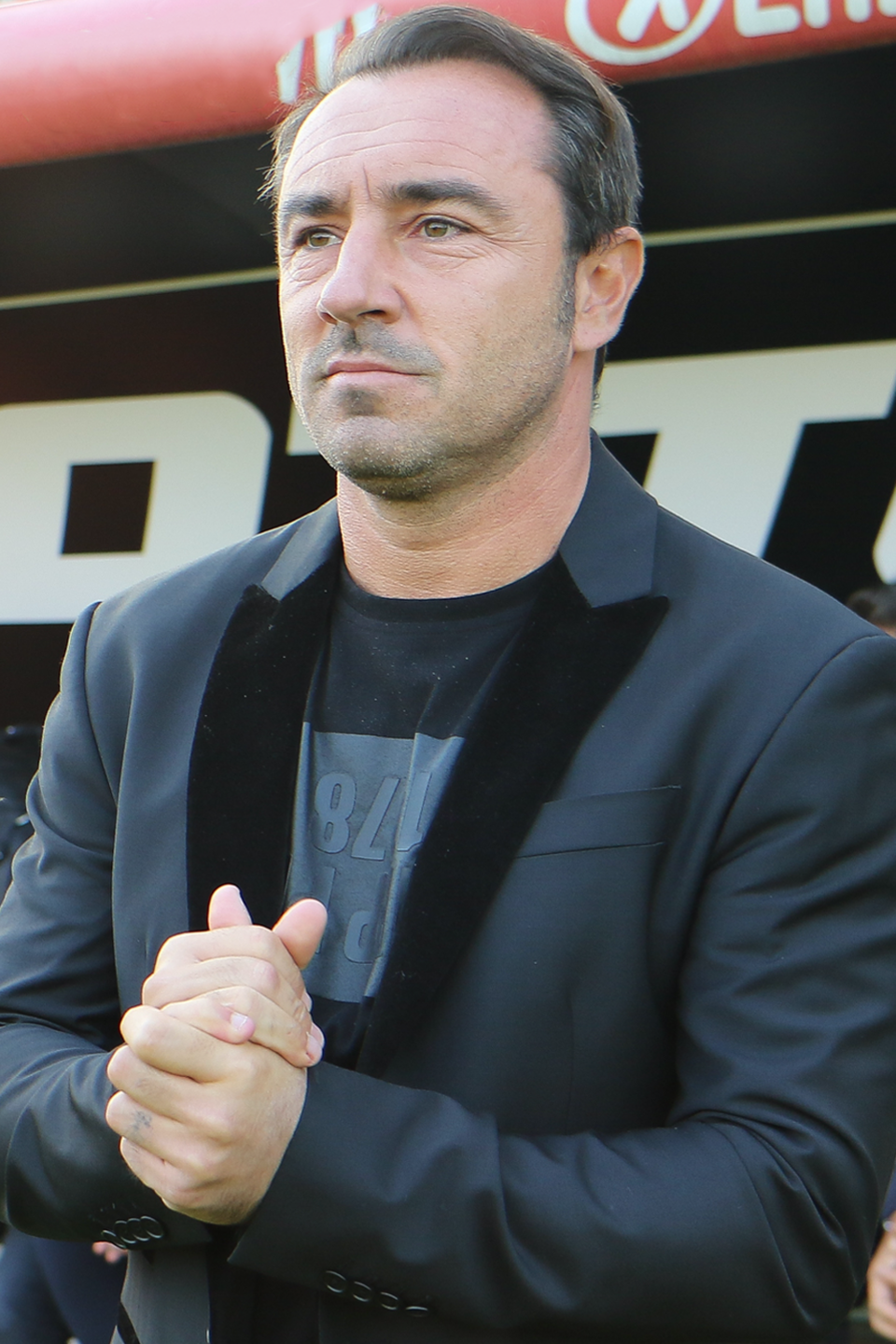 Brocchi