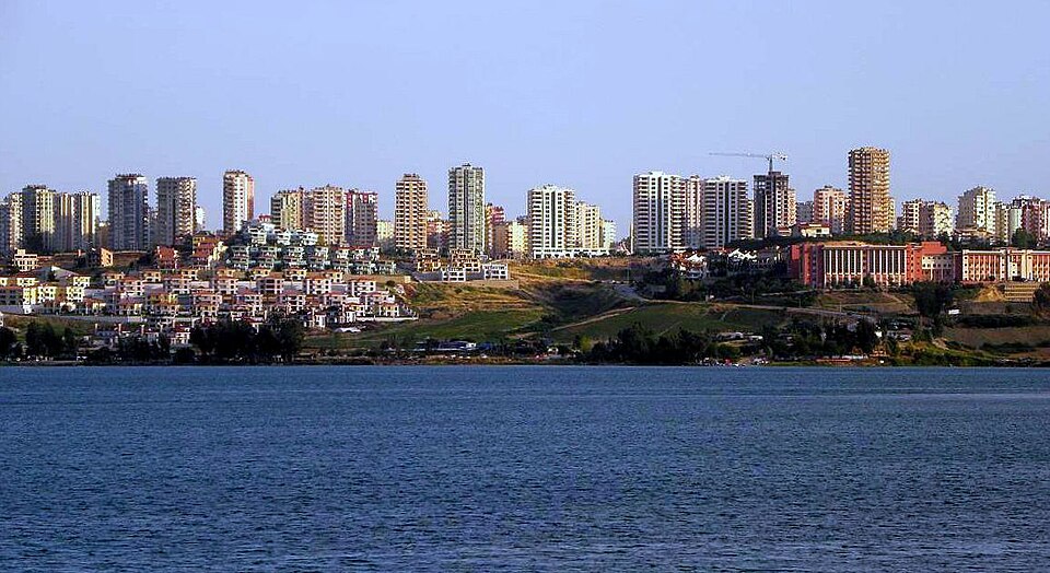 Buse Söğütlü