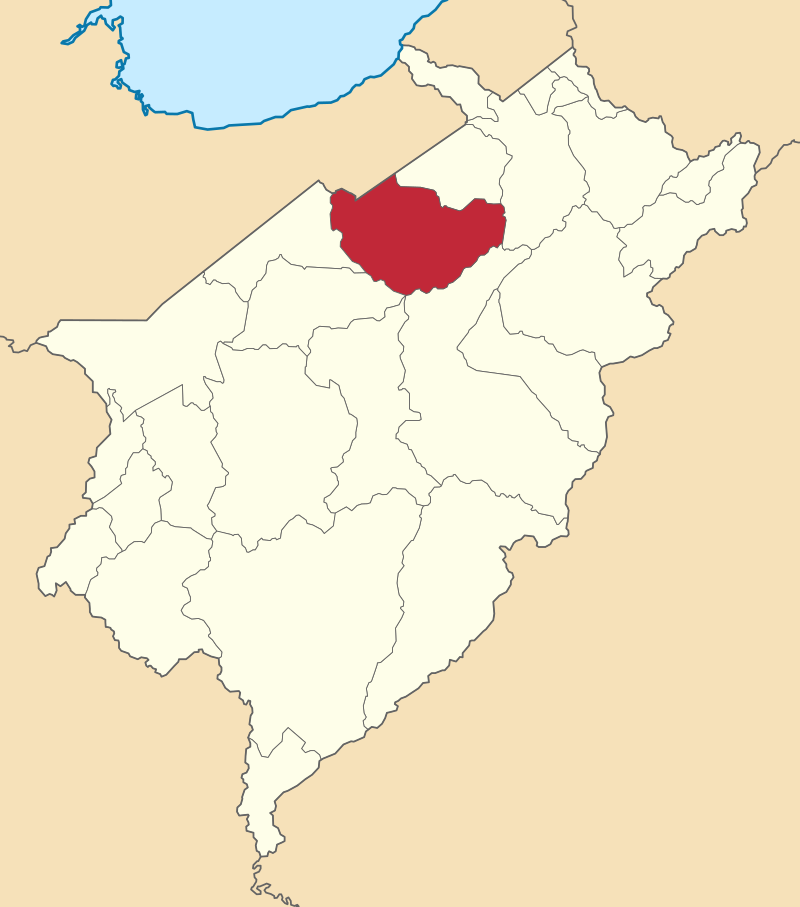 Caracciolo Parra Olmedo