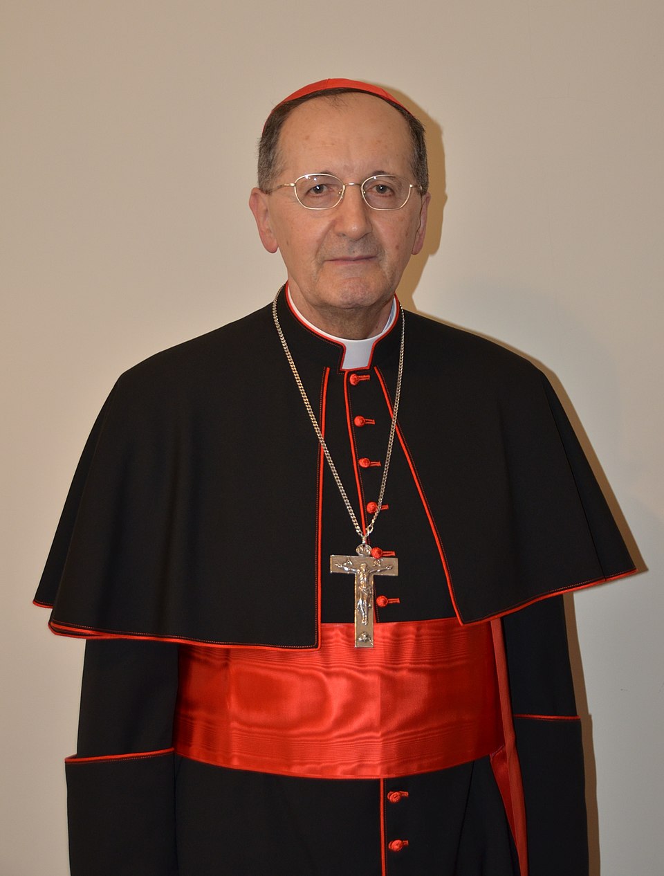 Cardinal Beniamino Stella